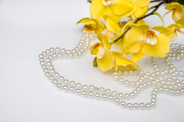 pearl and yellow Orchid on white glass 