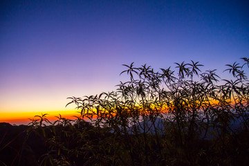 Sunrise at Doi Inthanon National Park in Chiang Mai Province Northern Thailand