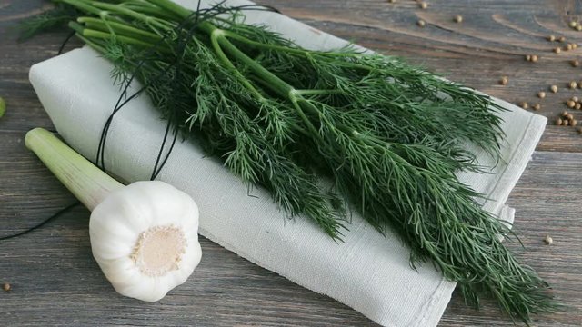 Slow pan of fresh green dill twigs, garlic bulb, coriander seeds