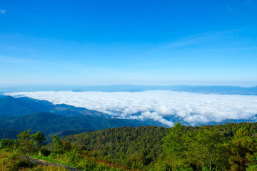 Fototapeta na wymiar Doi Inthanon National Park in Chiang Mai Thailand