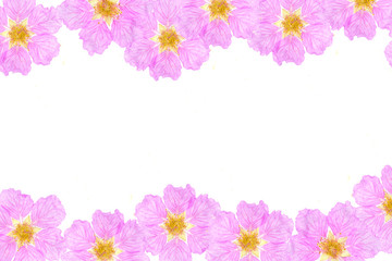 Pink flower border frame with empty space for text