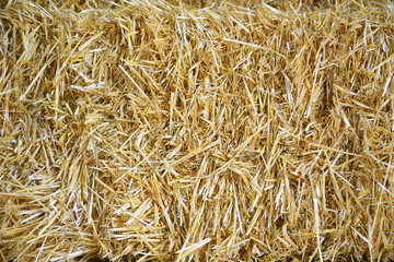Some straw bales forming a pile in an old barn of a farm. Rural background and Empty copy space for Editor's content.