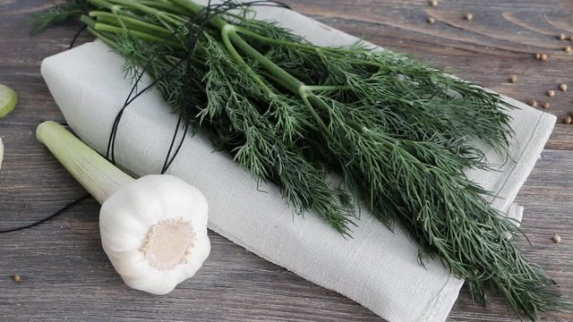 Slow pan of fresh green dill twigs, garlic bulb, coriander seeds