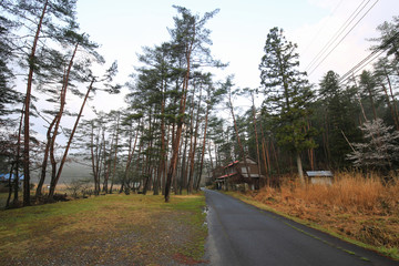 徳島県三好市　黒沢湿原