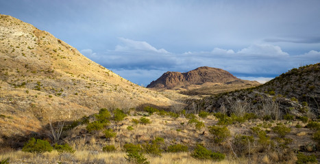 Sunset Golden Hour in Big Bend National park