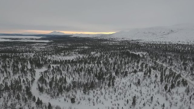 Slow flight over a forest at lake Femund in Norway