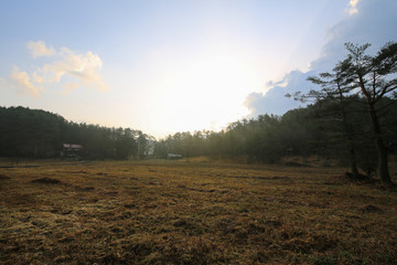 徳島県三好市　黒沢湿原