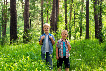 Fototapeta premium Children walking in forest