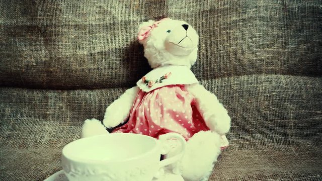 Vintage bear with a cup. Panoramic view.