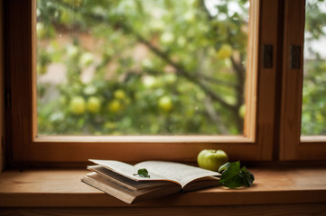 book and window