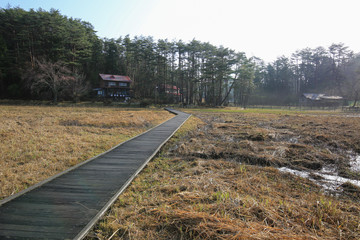 徳島県三好市　黒沢湿原