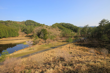 Obraz premium 徳島県三好市 黒沢湿原