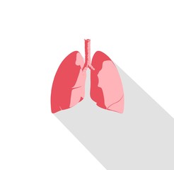 Lungs infographic. Anatomical icon of lungs on white background. Illustration.