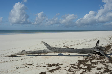 Fototapeta premium Kenya beaches