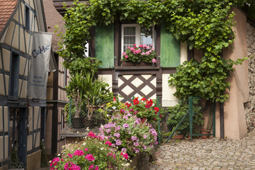 Fototapeta na wymiar Fachwerkhäuser in der Engelgasse, Gengenbach, Schwarzwald, Baden-Württemberg, Deutschland