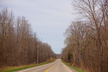 A narrow two lane highway lined with forest of bare trees beginning to bud and some green grass in a spring countryside landscape