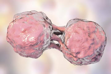 Dividing stem cells, 3D illustration. Research background © Dr_Microbe