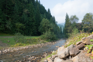 Landscape of the Ukrainian Carpathian Mountains