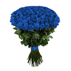 Beautiful blue rose. Isolated large bouquet of 101 rose on white