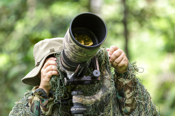 an ornithologist in hide suit, is taking bird photo in rain forest