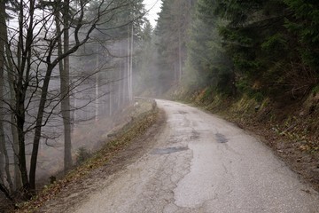 Mist in the woods and mountains during spring. Slovakia