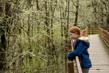Fototapeta premium Muddy Creek Boardwalk III