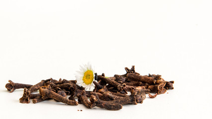 Cloves for dessert, pies and herbal