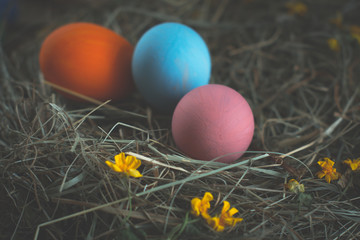 Fototapeta na wymiar Multicolored easter eggs on a wooden.