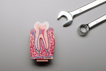 Tooth structure, warranty repair conceptual background