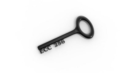 3d rendering of key with encrypted method with white background