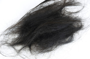 cut black human hair isolated on white background