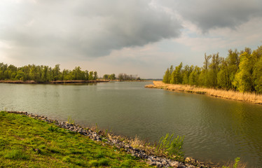 Colorful landscape with yellow reeds at the banks of a river