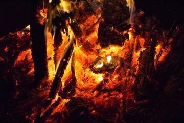 Campfire fire with hot charcoal at the night