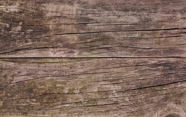  wood texture and background.  Aged wood planks texture pattern. Wooden surface.
