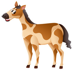 Horse with happy face