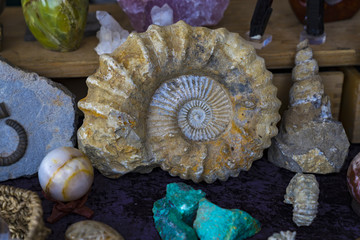 Collection of precious stones and fossils