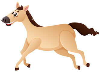 Brown horse running on white background