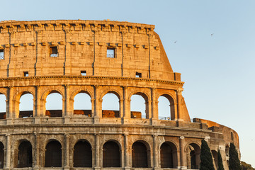 Obraz premium Colosseum lit by the setting sun