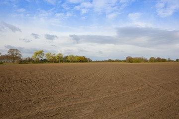 Fototapeta na wymiar plowed soil in springtime