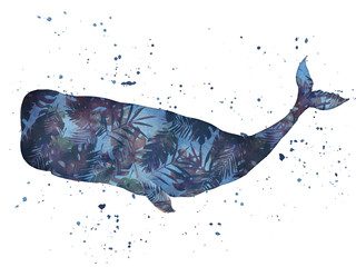 Akwarela wieloryba. Ilustracji wektorowych - 144635093