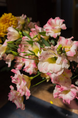 Pink eustoma flowers
