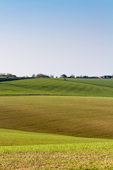 Fields in Spring