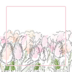 Banner, poster with tulips outlines, watercolor brush strokes and text frame. Beautiful vector floral spring or summer background. EPS 8