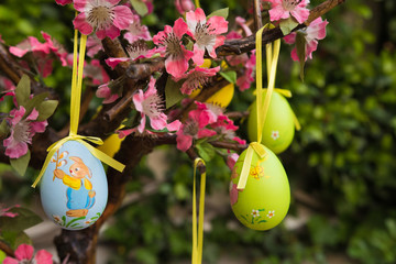 Uova di pasqua su albero fiorito