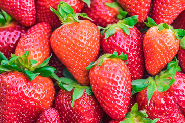Red fresh strawberries