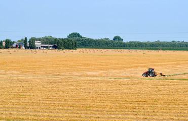 Obraz premium lavoro nei campi