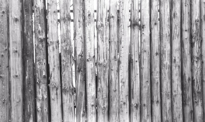 light Grey Old Log Cabin Wall Texture. light Rustic House Log Wall. Horizontal Timbered Background