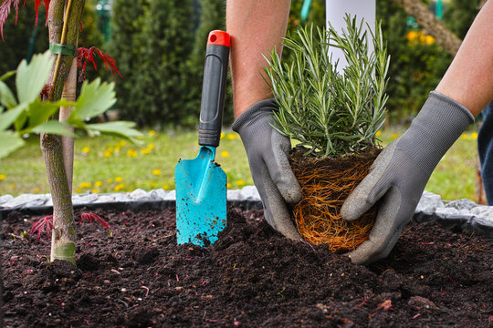Gartenarbeit