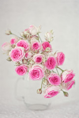 Close-up floral composition with a pink roses .Many beautiful fresh pink roses on a table.