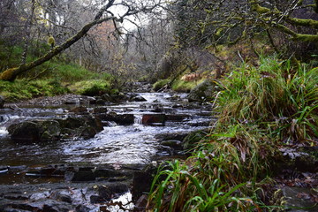 River Tummel